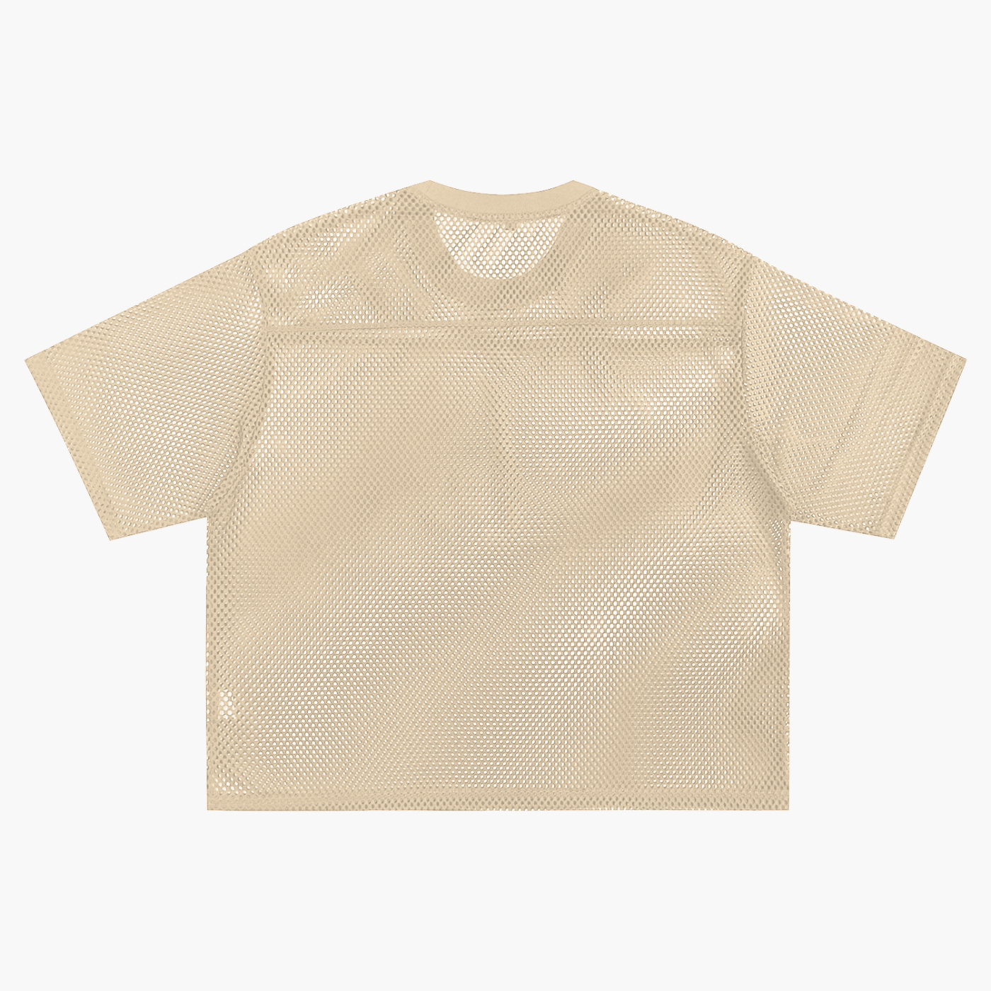 See-through Net T-Shirt